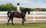Irina Shavlik and her horse, "Haylee."