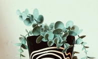 Black and white ceramic pot by Louisa Podlich.