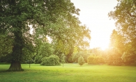 A park in White Bear Lake