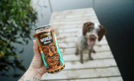 A person holds a can of Lift Bridge Mango Blonde while a dog sitting on a dock watches.