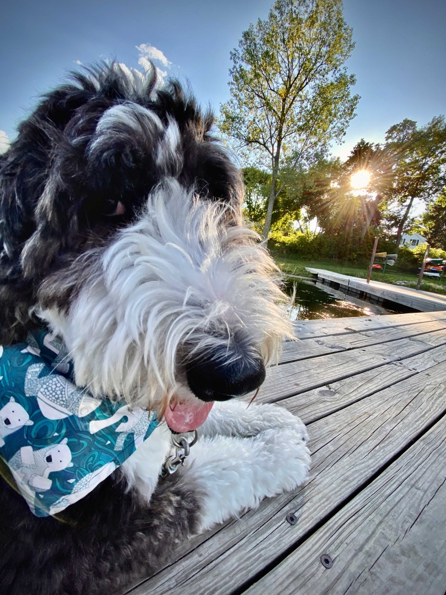 Lou on the Dock