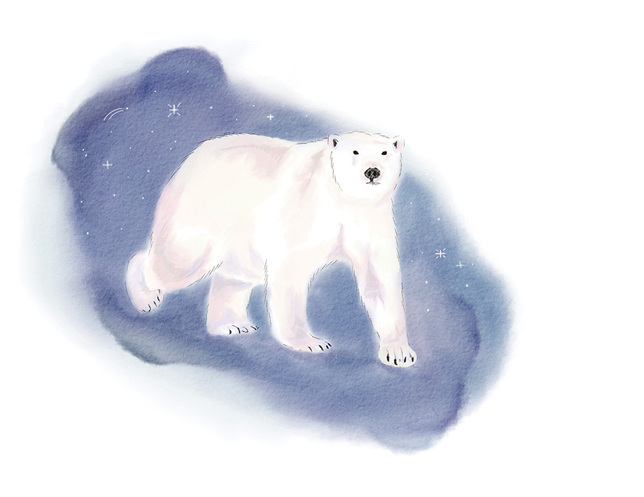 A watercolor illustration of a Polar bear.