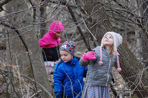 A group of kids explores the woods.